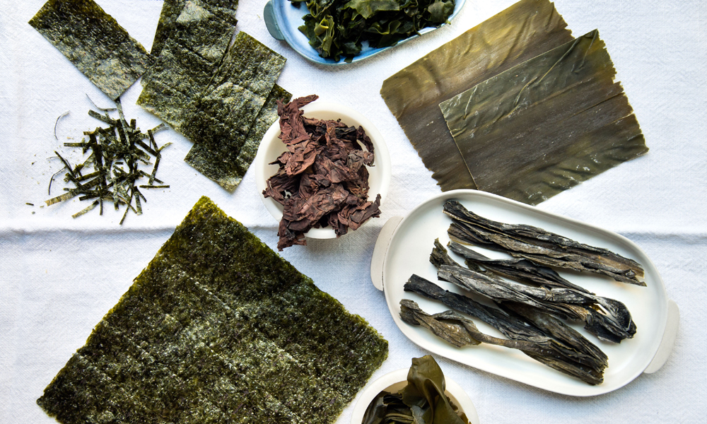 Las algas marinas comestibles más consumidas del mundo
